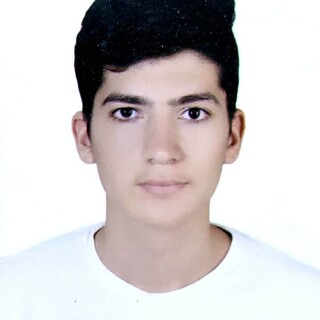 Mahmoud Elbahawashy Credential Photo