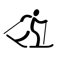 cross country skiing logo - turin 25.png